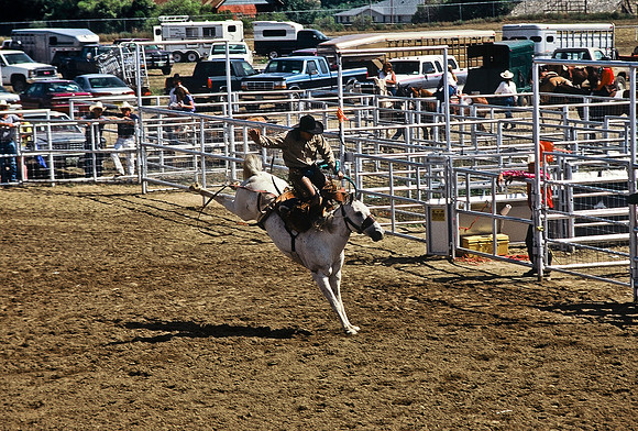 47494_B6_SL_COLOR_TRINIDAD_RODEO_CO_97_04.jpg