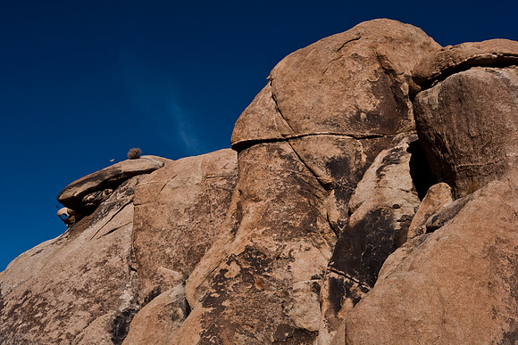 06646_DG_COLOR_JOSHUA_TREE_NAT_PARK_29_PALMS_CALIFORNIA_CA_USA_2007_ZV4N_452