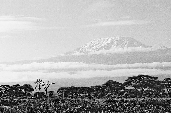 B3_82005_BW_194_New_Masa_Mara_Africa_89_6