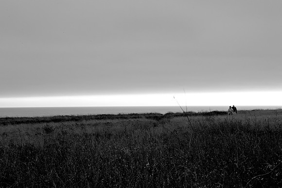 5L8Y0596
