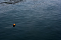 06594_DG_COLOR_STONINGTON_CONNECTICUT_CT_USA_2007_ZV4N_400