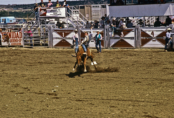 47492_B6_SL_COLOR_TRINIDAD_RODEO_CO_97_06.jpg