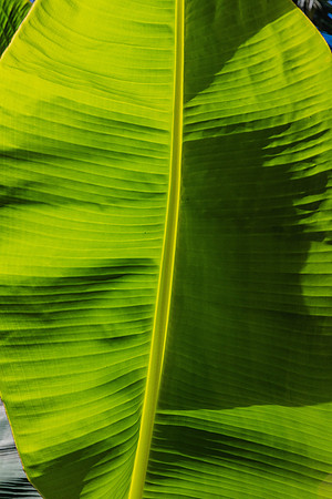 20160711_Key_West_75A0188