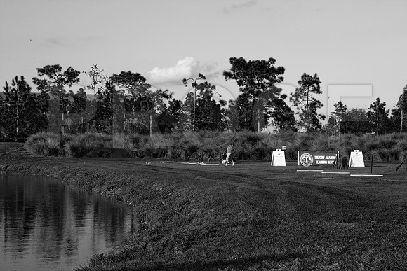 36203_DG_Color_USA_Osceola_County_Celebration_Town_FLZV4N7874