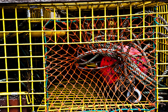 06581_ZV4N_0921_DG_COLOR_BASS_HARBOR_MAINE_ME_USA_2007_Costal_fishing_details