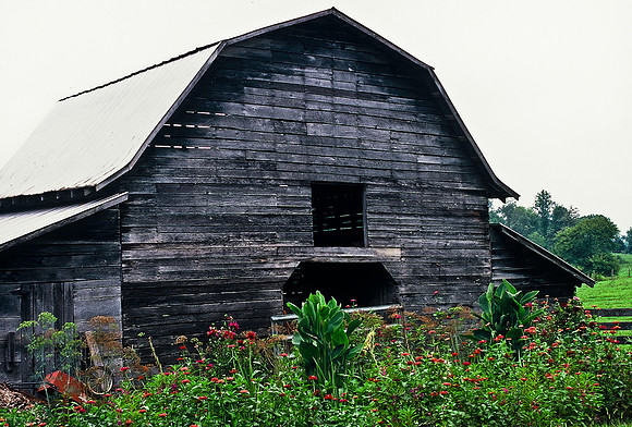 47424_B4_SL_COLOR_US_TOUR_NC_GA_97_05.jpg