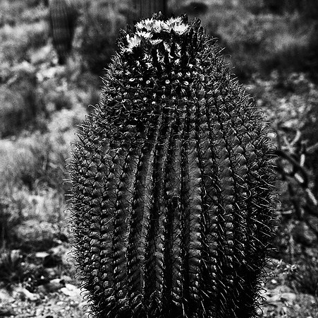 6017_FM_BW_TUCSON_AZ_05_1.jpg