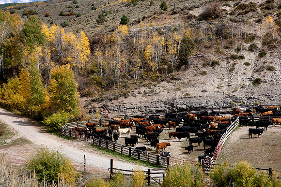 200828_DVD12_DG_USA_Aspen_1592_full_blead