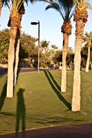 0031_La_Arizona_5L8Y5093