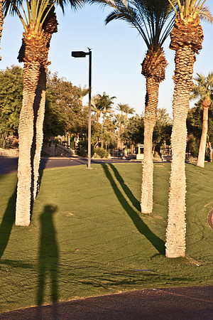 0031_La_Arizona_5L8Y5093