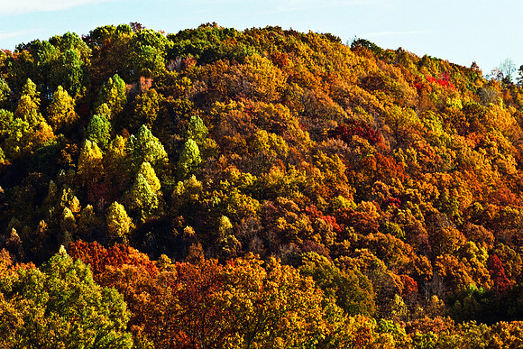 0258_FM_COLOR_MINESOTA_99_63.jpg