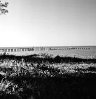 7587_fm_bw_xpand_MANDACINO_CA_01_1.jpg
