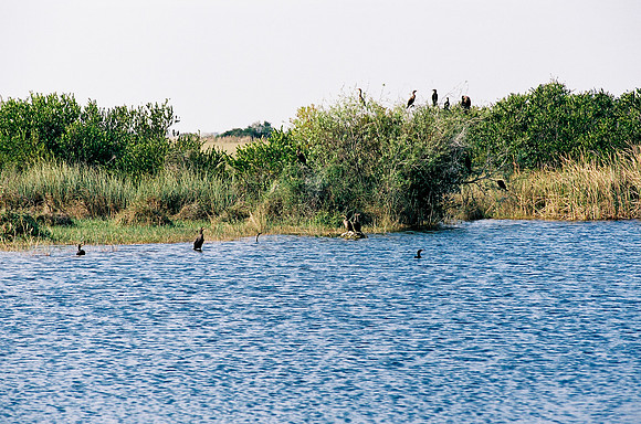 84694_EVERGLADES 33936__Azuley-R3-18