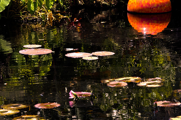 84775_DSC_0101_Fairchild_Garden_Miami_FL_USA