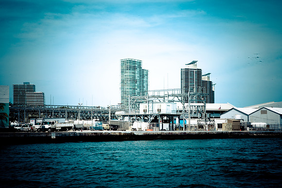 3052_Miami_2008_5L8Y1711