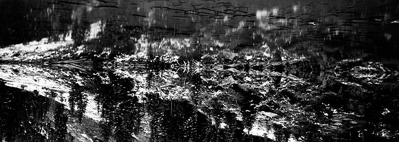 6084_FM_BW_LAKE_MONROE_CO_05.jpg