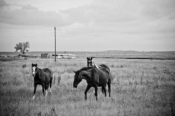 0044_North_Dacota_Fargo_to_South_Rapid_City_TO_CHEYENNE_5L8Y4147