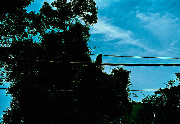 FILM