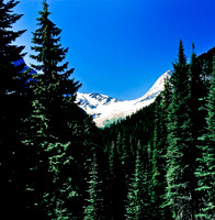 36096_6_03_COLOR_SQ_Glasier_MONTANA_03__FILM_COLOR_LR_USA_ID (4).jpg