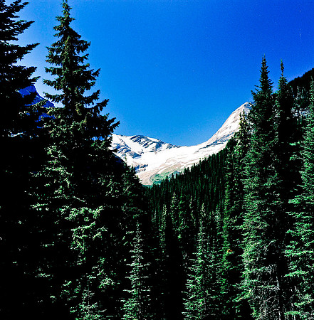36096_6_03_COLOR_SQ_Glasier_MONTANA_03__FILM_COLOR_LR_USA_ID (4).jpg