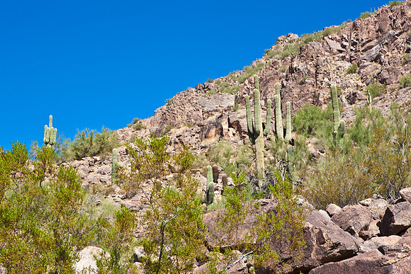 0031_La_Arizona_5L8Y5422