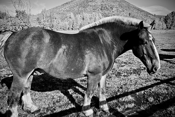 0021_Wyonming_To_Ketchem_Sun_Valley_ID_5L8Y8055