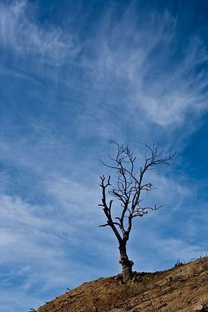 36483_DG_CALIFORNIA_USA_2007_ZV4N_0595