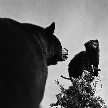 6096_FM_BW_INDEPENDENCE_CO_05_1.jpg