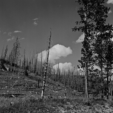 7549_B3P1_9_BW_SQ_MT_01_5.jpg