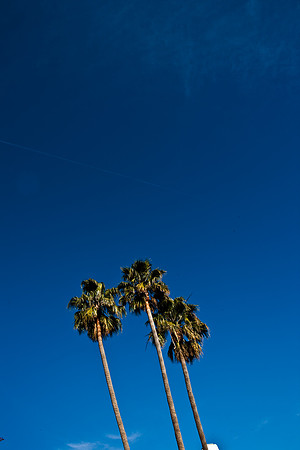 36411_DG_CALIFORNIA_USA_2007_ZV4N_0812