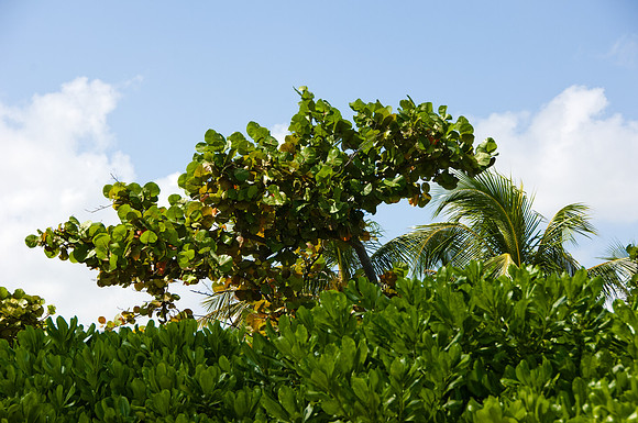 36153_DG_Color_USA_South_Beach_FL_Related_GroupDSC_0130