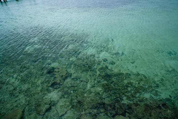 36174_DG_Color_USA_Harbour_Island_Bahamas_Related_GroupZV4N1324