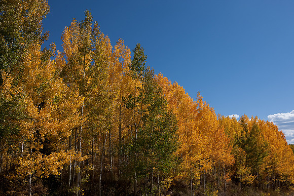 20080828_DVD9_DG_From_Glenwood_Spring_to_Aspen_CO_1976_full_blead