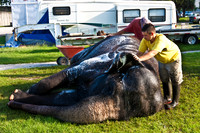 42588_Circus_Miami__Park__IMG_6386