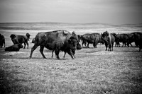 0044_North_Dacota_Fargo_to_South_Rapid_City_TO_CHEYENNE_5L8Y4171
