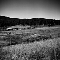 7547_B3P1_8_BW_SQ_MT_01_4.jpg