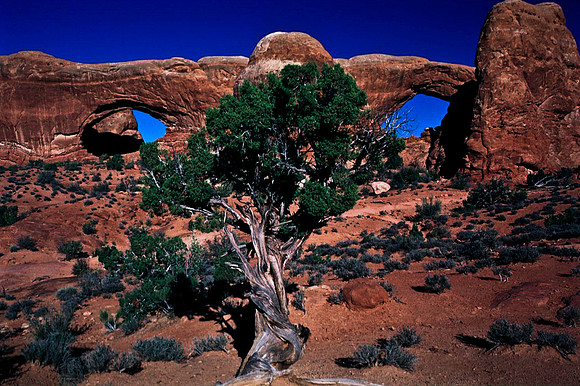 06774_B10_SL_COLOR_SL_COLOR_NORTH&SOUTH_WINDOWS_ARCHES_NAT_PARK_UT_97_1717.jpg