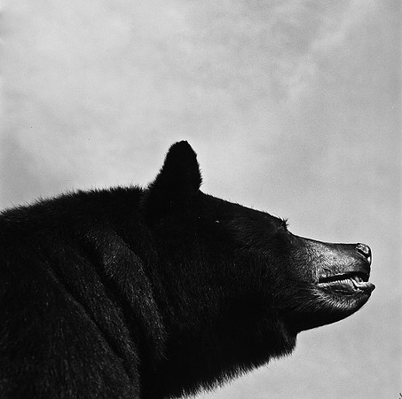 6096_FM_BW_INDEPENDENCE_CO_05_7.jpg