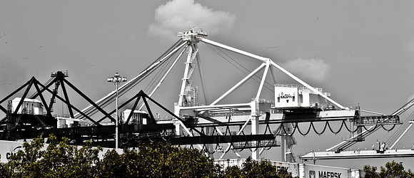 3037_Miami_2008_5L8Y9503