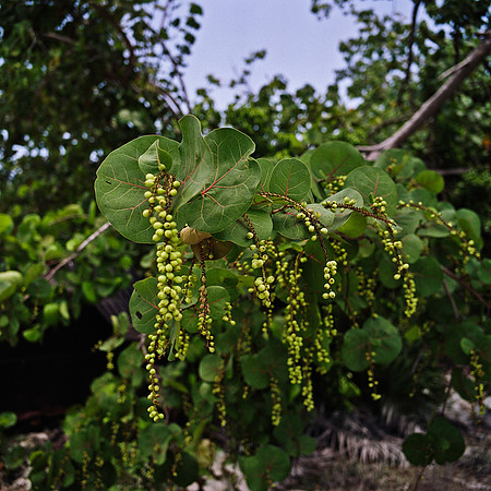 6006_FM_COLOR_AK_05_3.jpg