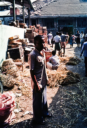 47282_SL_COLOR_INDIA_1987_9