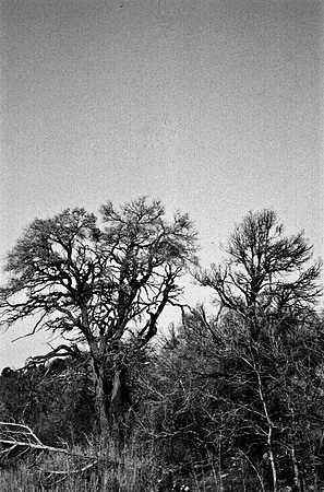 06773_B10_SL_COLOR_SL_COLOR_ARCHES_NAT_PARK_UT_97_0813.jpg