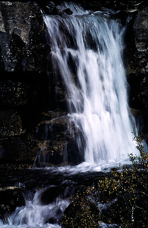 06828_B19_SL_COLOR_JASPER_NAT_PARK_ATHABASCA_FALLS_BC_WS_97_04.jpg