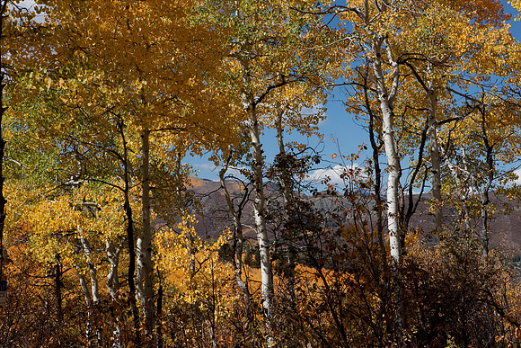 20080829_DVD15_DG_USA_Aspen_2138_full_blead