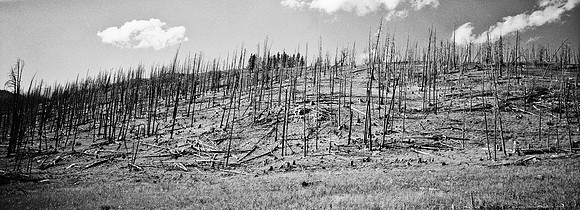 7551_FM_BW_XPAND_AZ_01_13.jpg