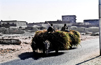 3346_SL_COLOR_ASWAN_EGYPT_1989_10