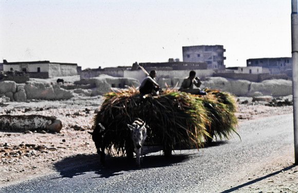 3346_SL_COLOR_ASWAN_EGYPT_1989_10