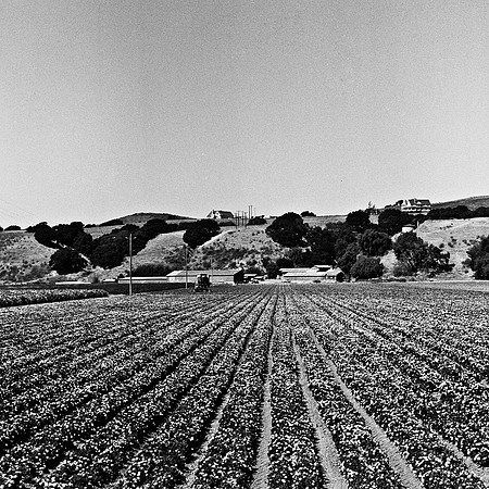 6031_FM_BW_SLOVANG_CA_05_9.jpg