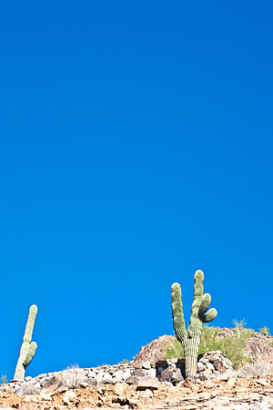 0031_La_Arizona_5L8Y5309