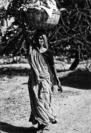 47283_SL_COLOR_INDIA_1987_6